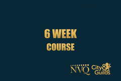 6 Week Plastering Course NVQ Level 3  (ELCAS)